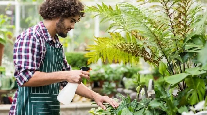 how residential planting services ensure long-lasting plant health