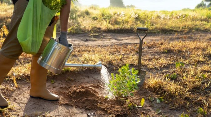 Gardener watering plants during irrigation system installation